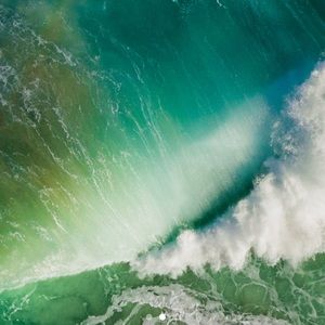 Meet your Posher, Bailey